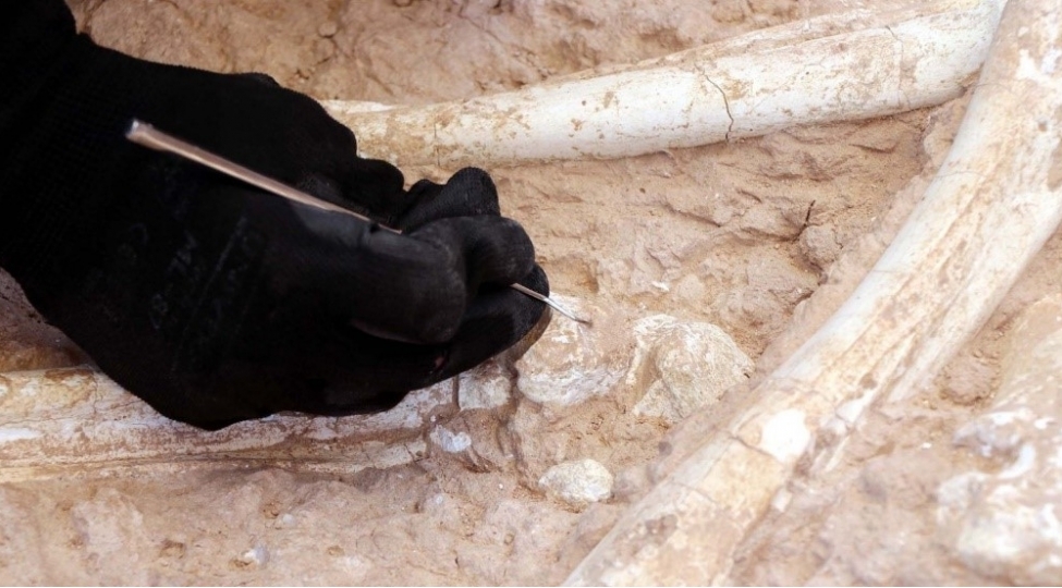 75-milyon-il-evvele-aid-keshf