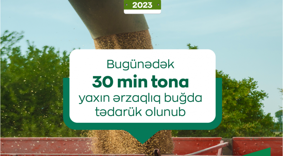 dovlete-30-min-ton-erzaqliq-bugda-tehvil-verilib-nazirlik