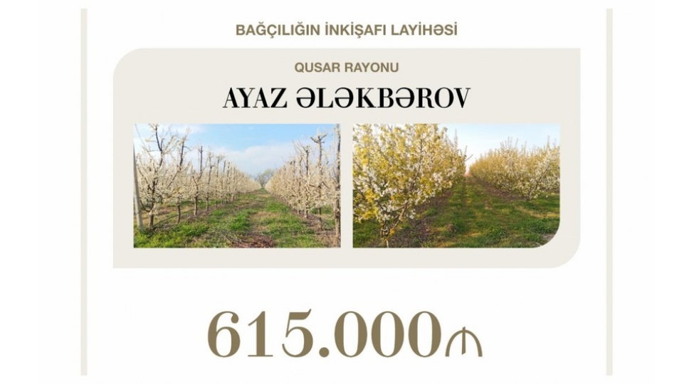 qusarda-bagchiligin-inkishafina-615-min-manat-manat-guzeshtli-kredit-verilib
