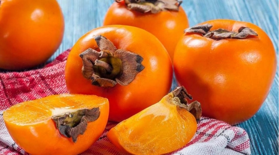 fao-azerbaycan-dunyada-xurma-istehsalchilari-ve-ixracatchilari-sirasinda-ilk-uchluye-daxildir