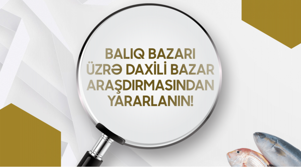 azerbaycanda-baliq-bazari-ile-bagli-arashdirma-aparilib