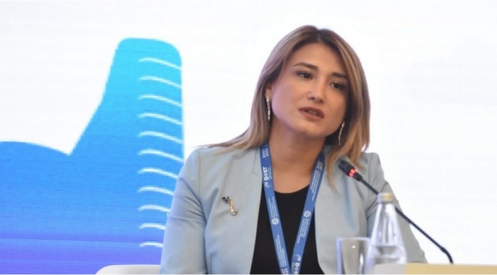 azerbaycanda-sahibkarin-vahid-beyannamesini-vergi-xidmeti-tertib-edecek