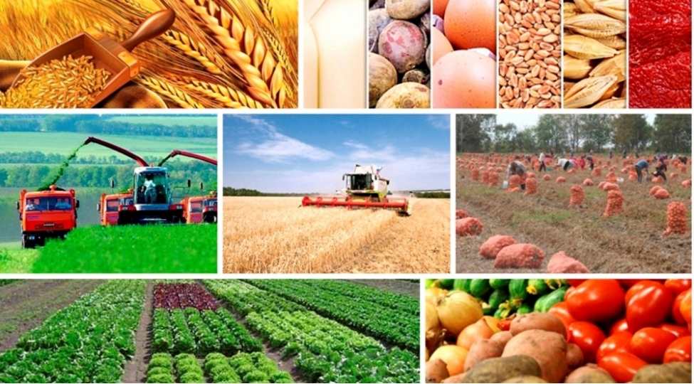 kend-teserrufatinin-inkishafi-erzaq-tehlukesizliyinin-teminatidir