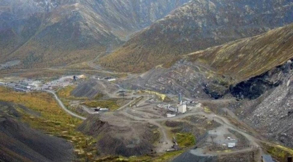 beynelxalq-shirket-gedebeyde-filiz-hasilati-ile-bagli-hesabat-hazirlayib