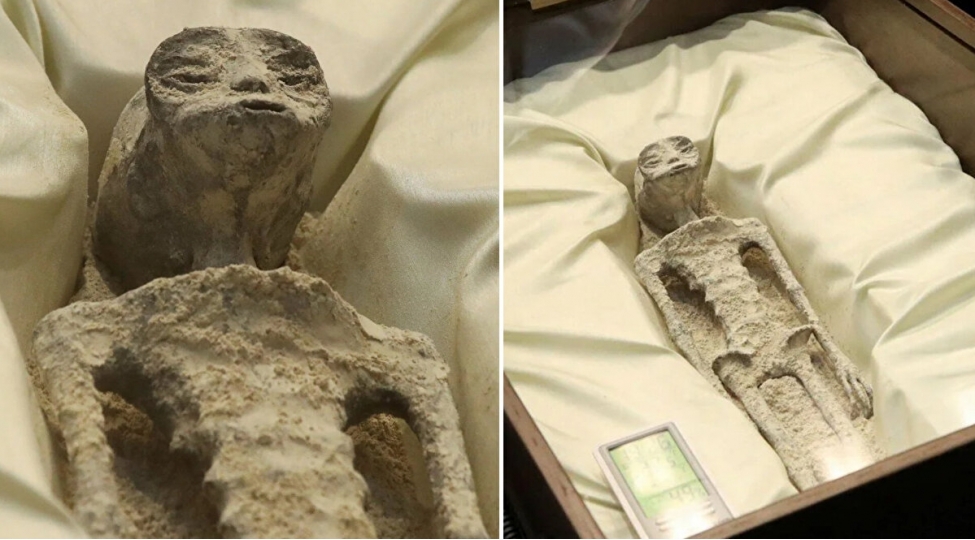 yadplanetlilere-aid-1000-yashli-cesedler-numayish-olunub-ilk-defefotovideo