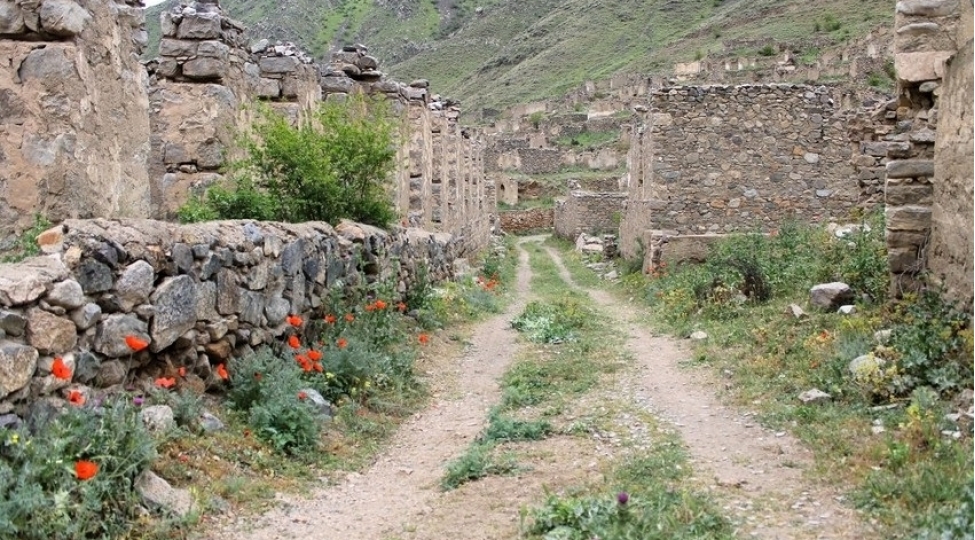 gurcustan-ve-turkiye-munaqisheden-zerer-chekmish-erazilerin-yeniden-qurulmasinda-azerbaycanla-hemreylik-ifade-edib