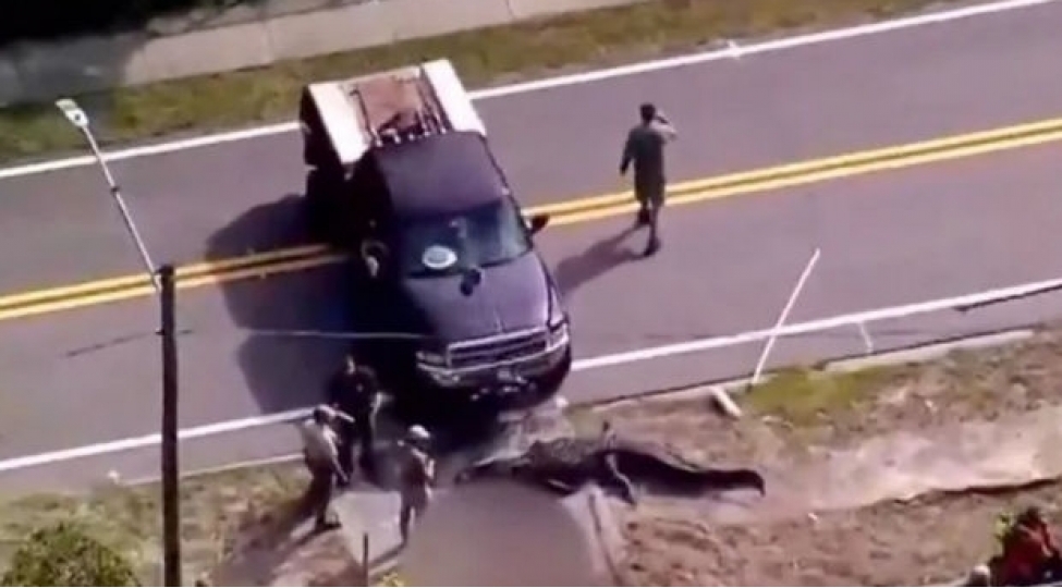 absh-de-agzinda-cansiz-insan-bedeni-olan-timsah-insanlari-dehshete-getirdi-video