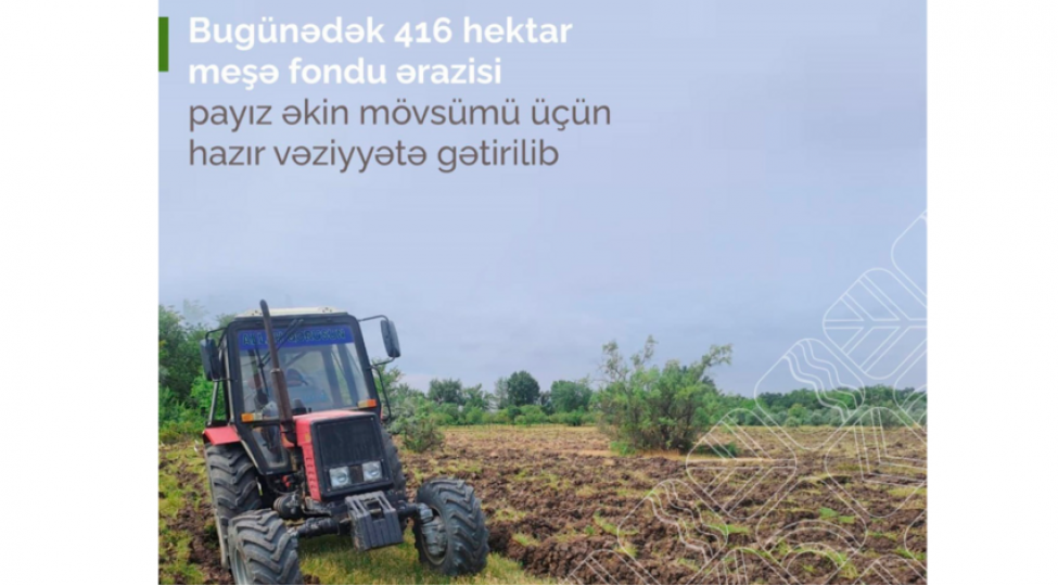 bu-gunedek-416-hektar-meshe-fondu-erazisi-payiz-ekini-uchun-hazirlanib