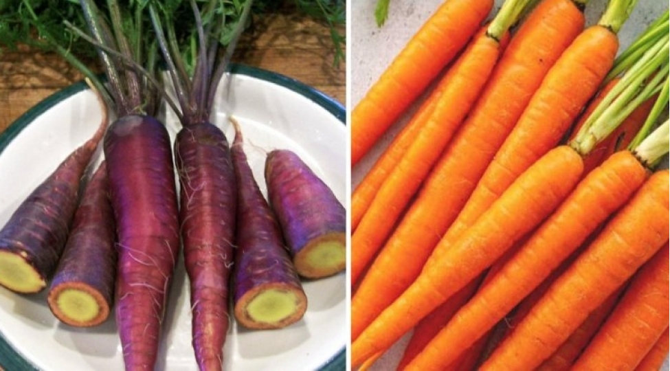 ne-yediyinizi-bilirsinizmi-foto