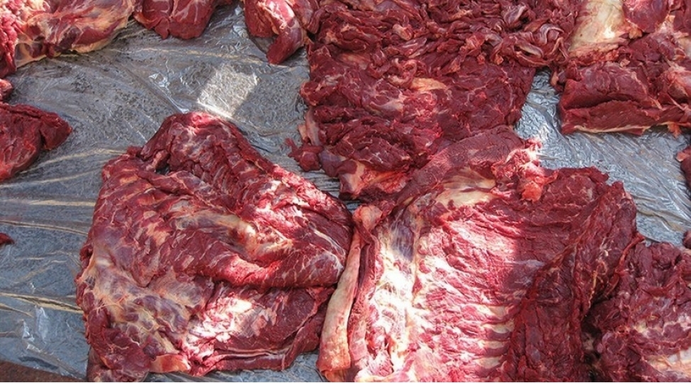 sherurda-105-kiloqram-at-eti-ashkarlanib-video