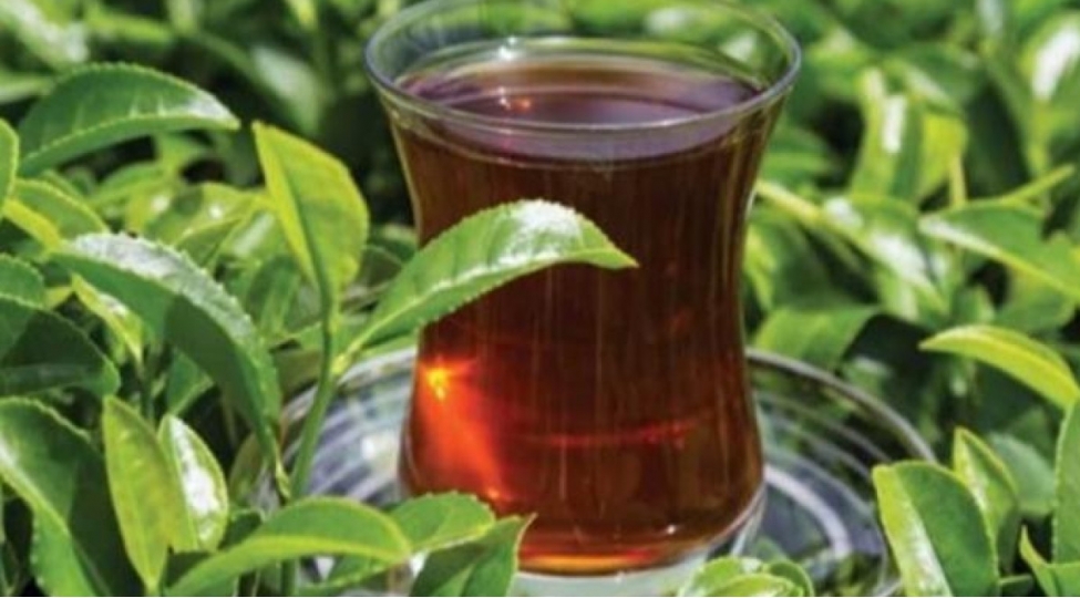 azerbaycanin-chay-idxali-ixracini-19-defe-usteleyib