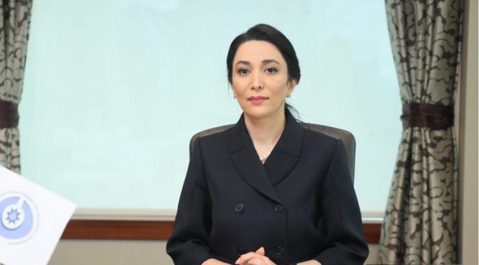 ermenistanin-azerbaycana-tecavuzu-neticesinde-358-ushaq-minalardan-eziyyet-chekib-ombudsman