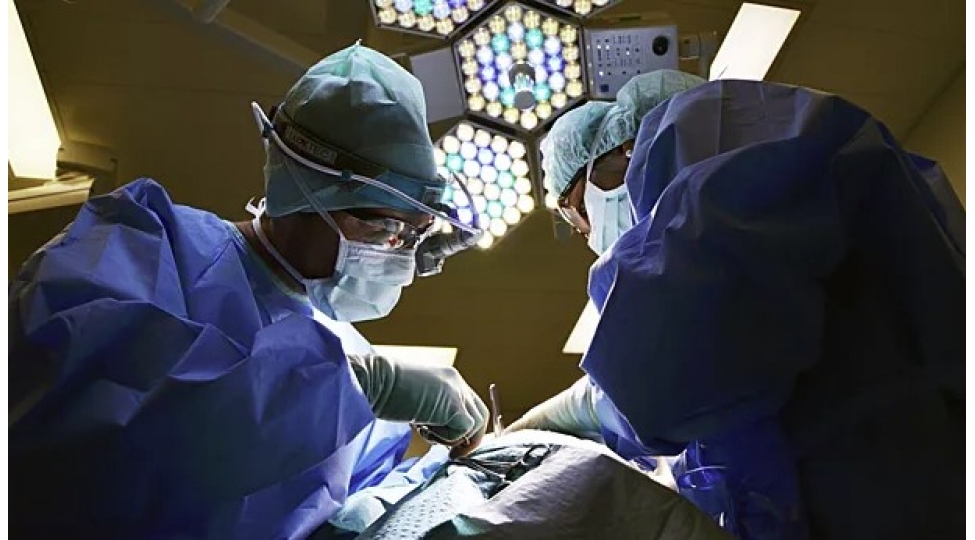 xerchengin-hansi-novleri-irsidir