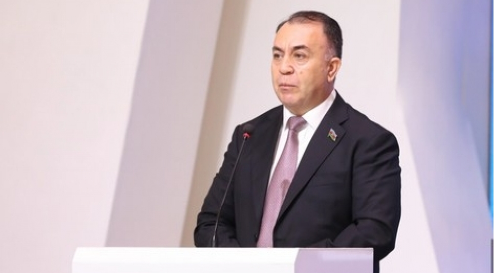 komite-sedri-azad-edilmish-erazilerde-dag-meden-senayesi-uchun-boyuk-potensial-var