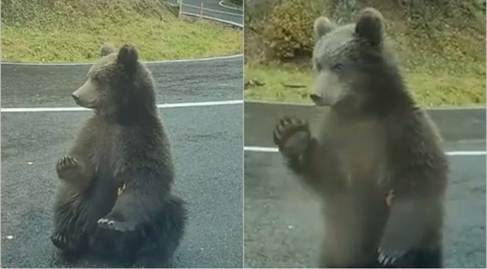 ayinin-min-oyunu-var-bir-yolun-ortasinda-video