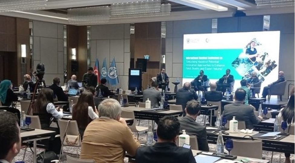 azerbaycanda-findiq-istehsalchilarinin-problemleri-achiqlanib