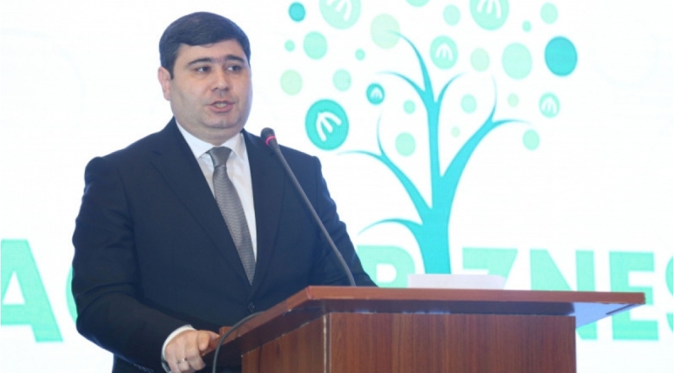 togrul-eliyev-esi-riskleri-ile-bagli-52-maliyye-teshkilatinda-sorgu-kechirilib