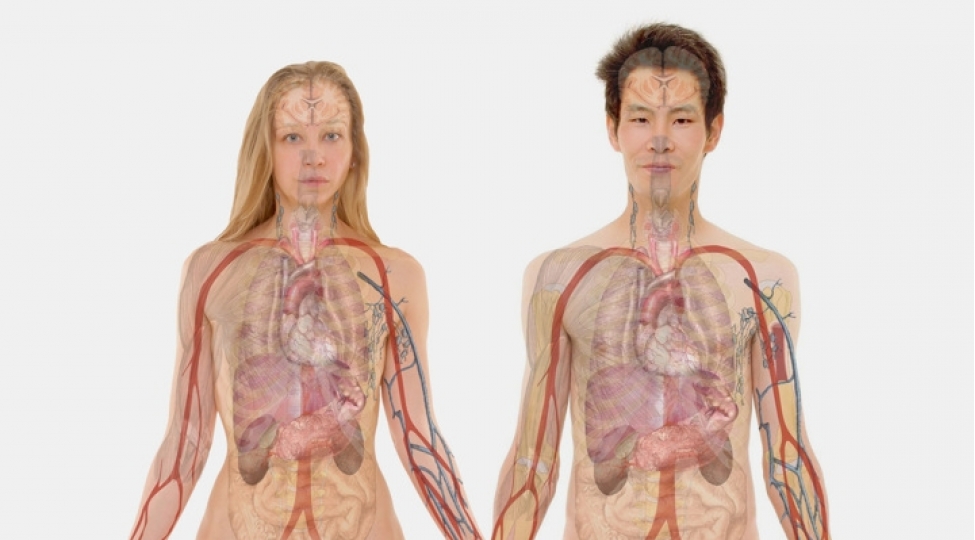 hansi-orqanlarsiz-da-yashamaq-olar