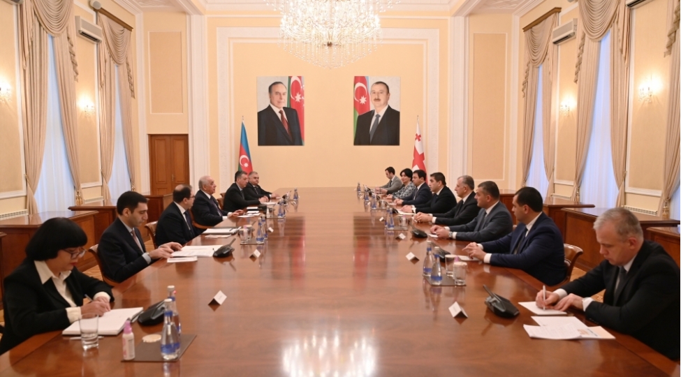 eli-esedov-gurcustan-parlamentinin-sedri-ile-gorushub-2