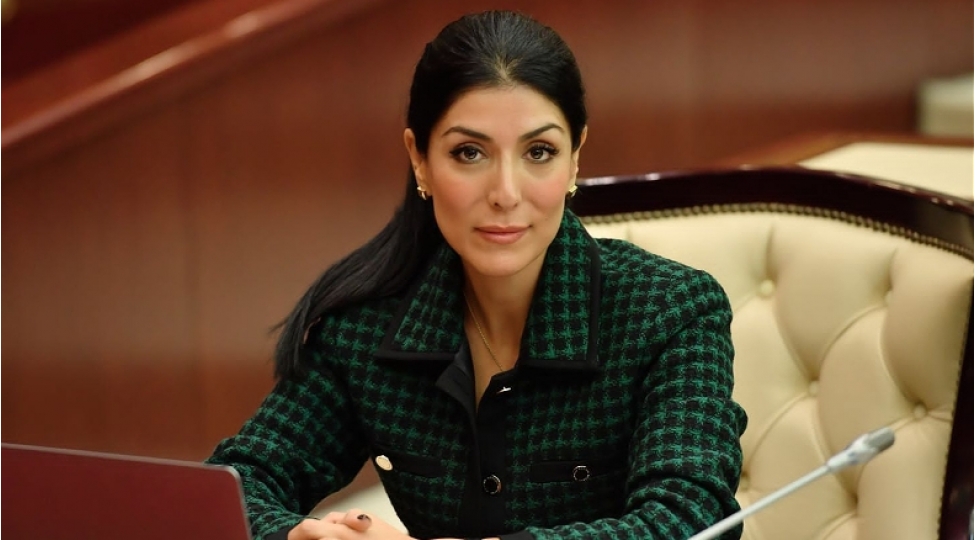 iqlim-deyishikliyi-ile-mubarize-her-kesi-ehate-etmelidir-nigararpadarai