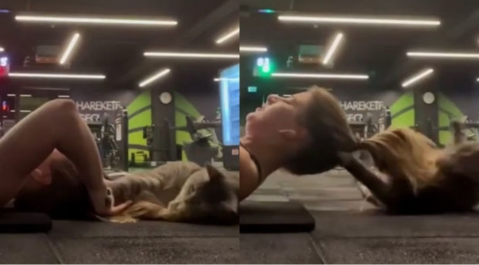 idman-zalinda-qadina-hucum-eden-pishik-her-kesi-guldurdu-video