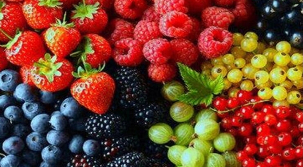 bu-gilemeyve-olum-riskini-azaldir