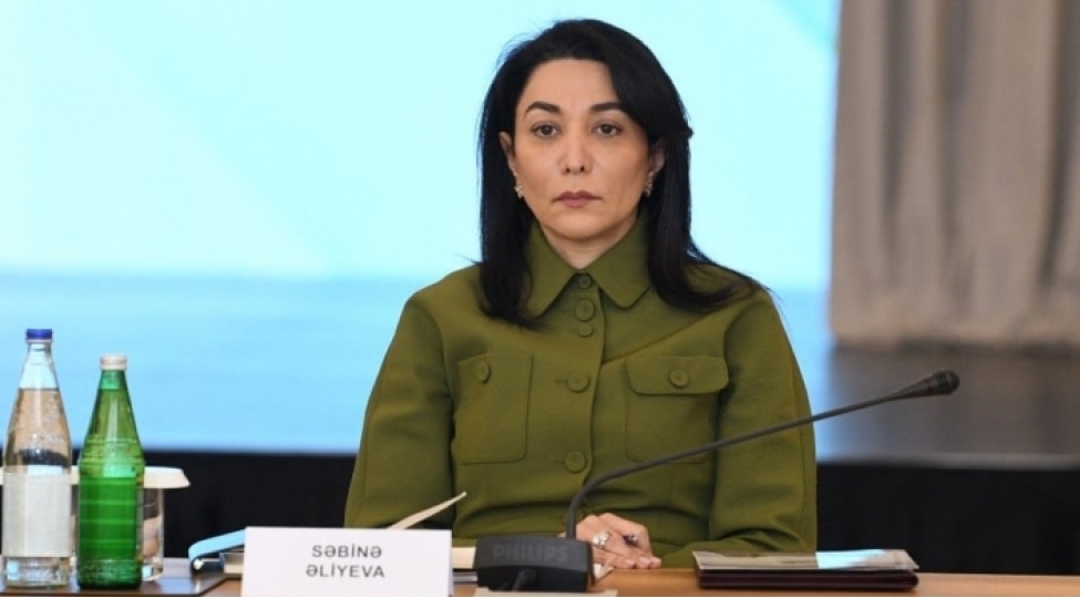 ulu-onder-heyder-eliyevin-insan-huquqlari-sahesindeki-irsi-dovletimiz-ve-xalqimiz-uchun-evezsiz-bir-servetdir-ombudsman