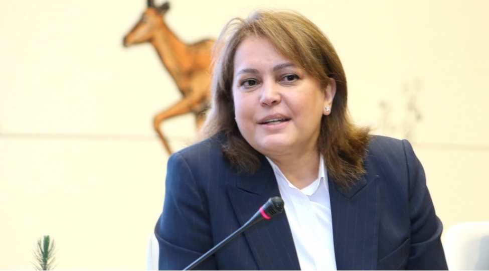 umayra-tagiyeva-xarici-genclerin-iqlim-deyishiklikleri-ile-bagli-fikirlerinin-cop29-a-ev-sahibliyi-eden-bakida-seslenmesi-ehemiyyetli-hadisedir