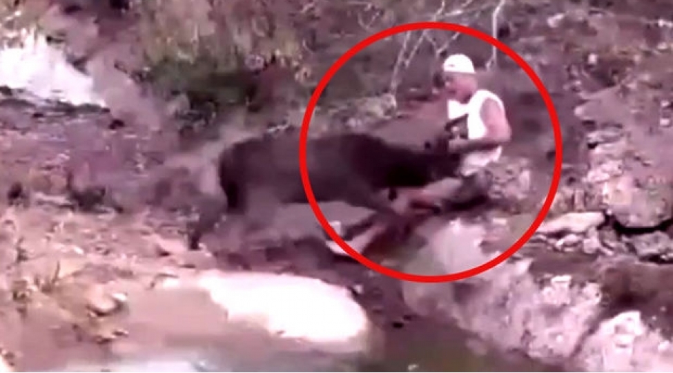 taninmish-aparicinin-maral-sigallamaq-isteyi-facie-ile-bitecekdi-video