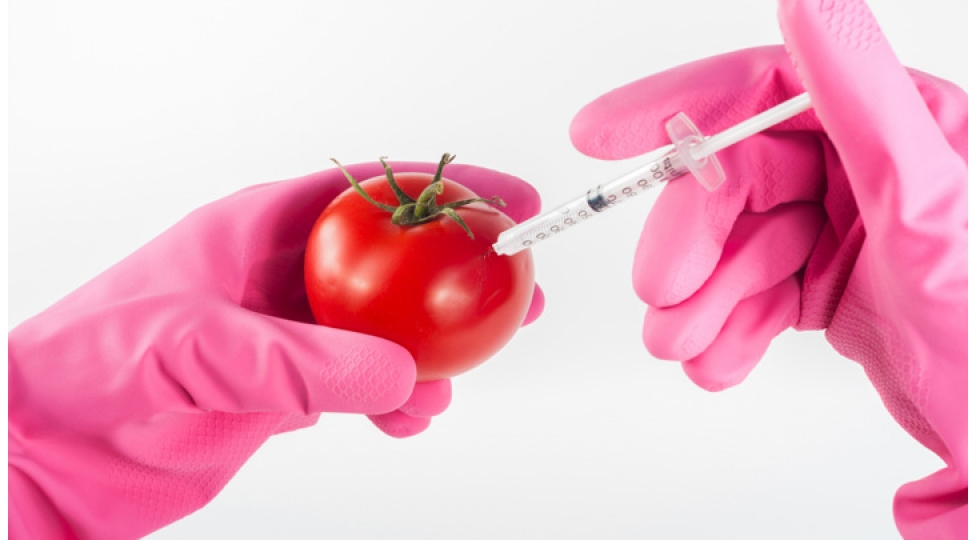 gmo-olmasa-besheriyyet-mehv-olar