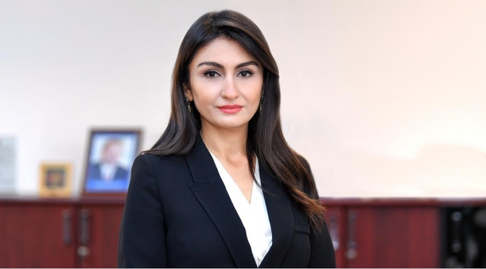 azerbaycanda-yeni-vergi-mecellesi-hazirlanir