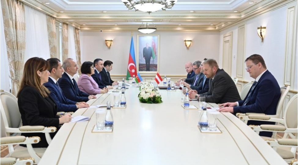 bir-sira-teshkilatlarda-islamofobiya-azerbaycanofobiya-hokm-surur-sahibe-qafarova