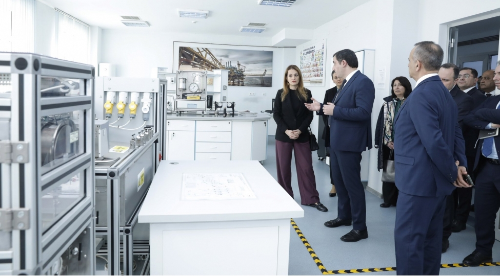 socar-in-vitse-prezidenti-ziba-mustafayeva-neftqazelmitedqiqatlayihe-institutunda-olub-foto