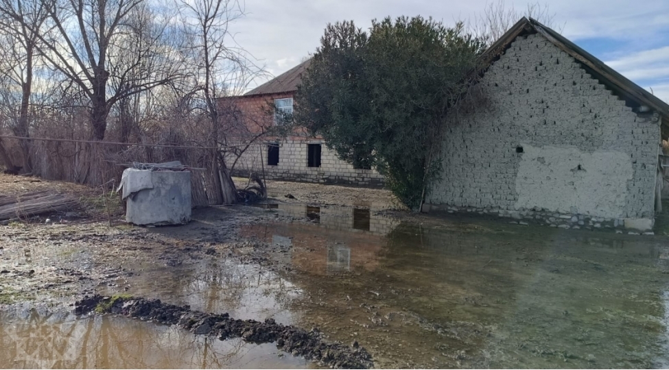 zerdabda-yagishdan-sonra-uze-chixan-qrunt-sulari-evlere-ve-tovlelere-dolub