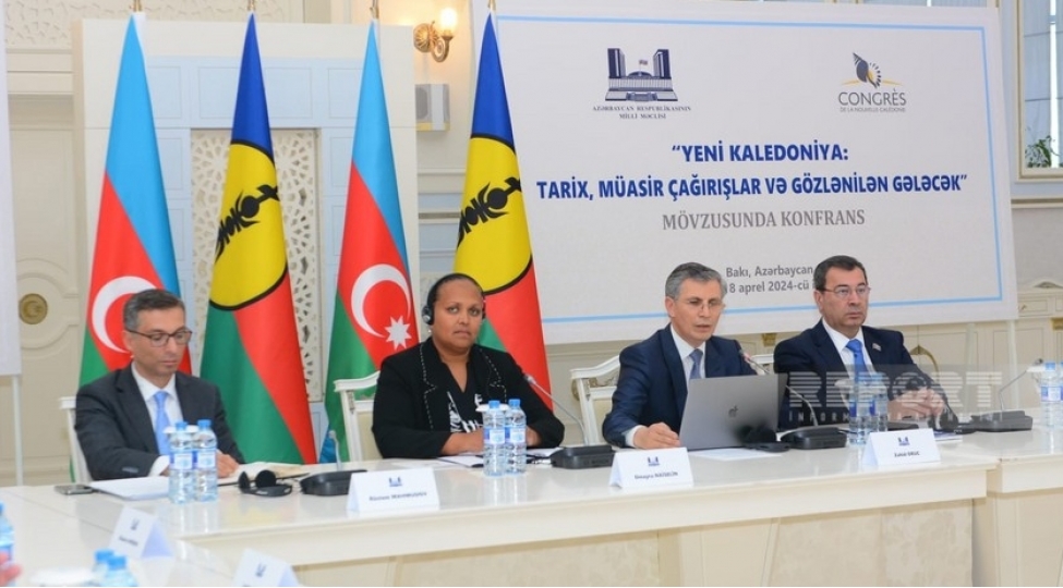 fransa-hazirda-assimilyasiya-siyaseti-aparir-ancaq-buna-nail-olmamalidir-omayra-naiselin
