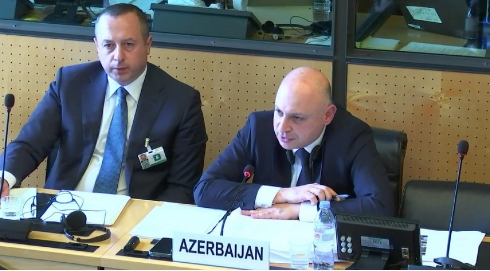 bmt-de-azerbaycanin-meruzesinin-teqdimati-kechirilib