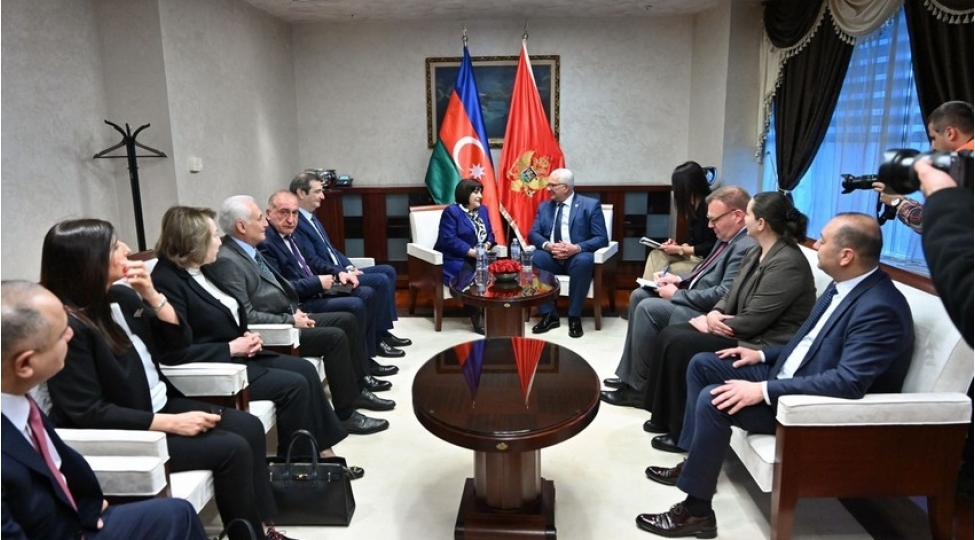 sahibe-qafarova-monteneqroda-resmi-seferdedir-foto