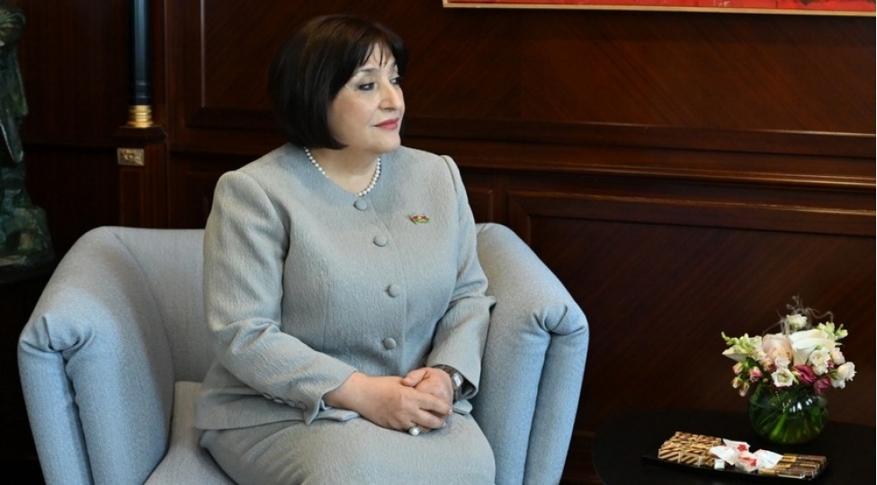 sahibe-qafarovafransa-regionda-sulhe-xidmet-etmeyen-yanashma-ortaya-qoyur