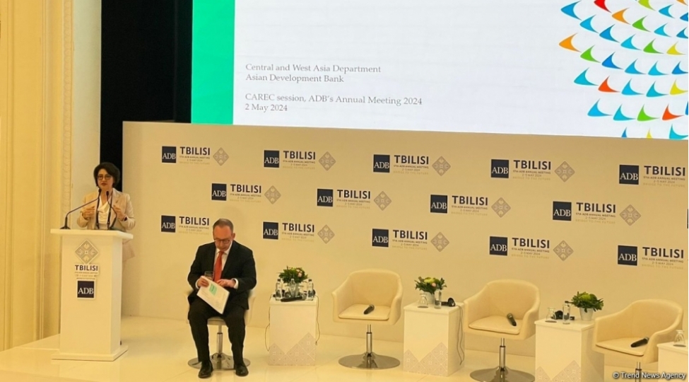 cop29-merkezi-asiya-regionunu-iqlim-deyishmeleri-ile-mubarize-seylerinde-on-siraya-chixarir-aib-in-bash-direktoru