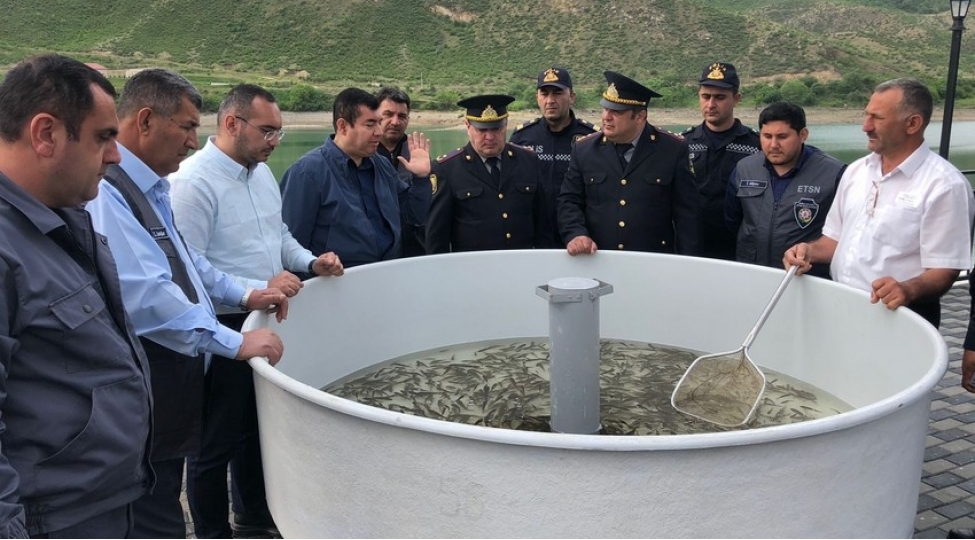 suqovushan-su-anbarina-baliq-korpeleri-buraxilib