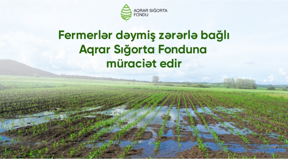 hava-sheraiti-ile-elaqedar-teserrufatlara-zerer-deymesi-barede-son-uch-gunde-20-muraciet-daxil-olub