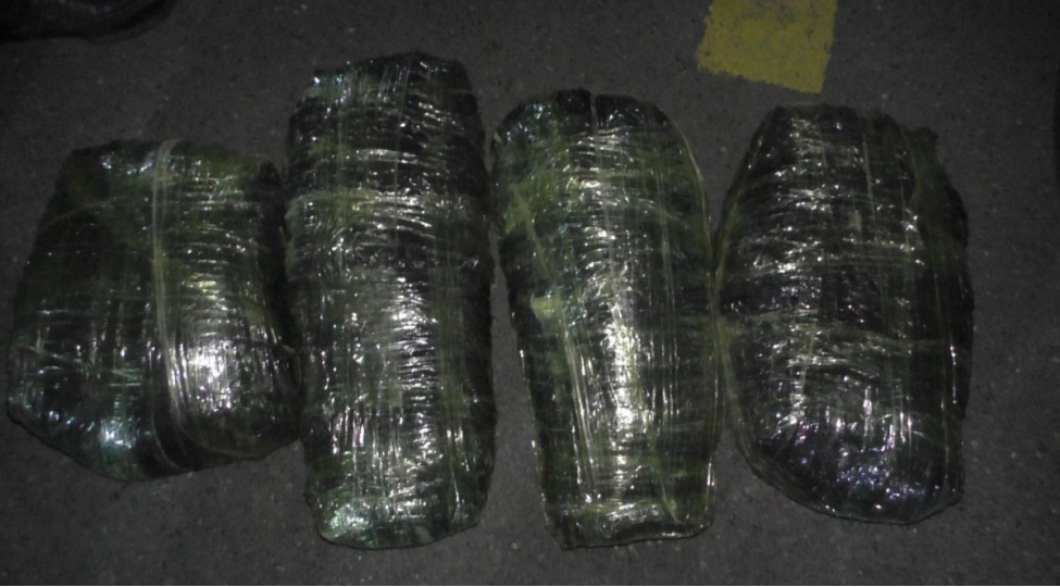 balakende-narkokuryerlerden-10-kiloqram-marixuana-ashkarlanib