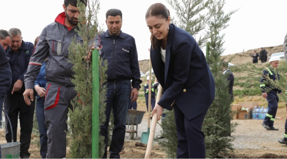 “Yaşıl dünya naminə həmrəylik ili” çərçivəsində SOCAR-ın təşkilatçılığı ilə ağacəkmə aksiyası keçirilib - 