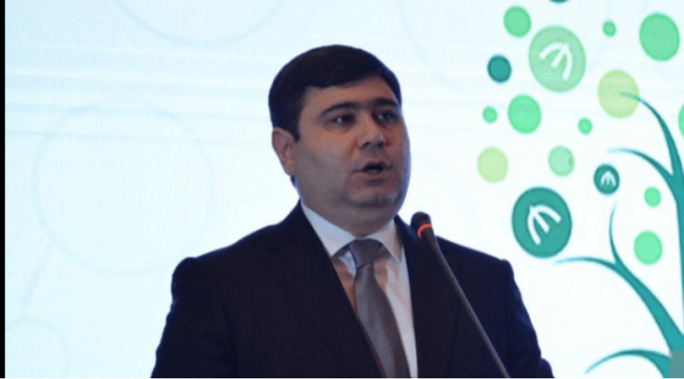 azerbaycanin-maliyye-sektorunda-nezaret-ve-tenzimleme-renessans-dovrunu-yashayir-togrul-eliyev