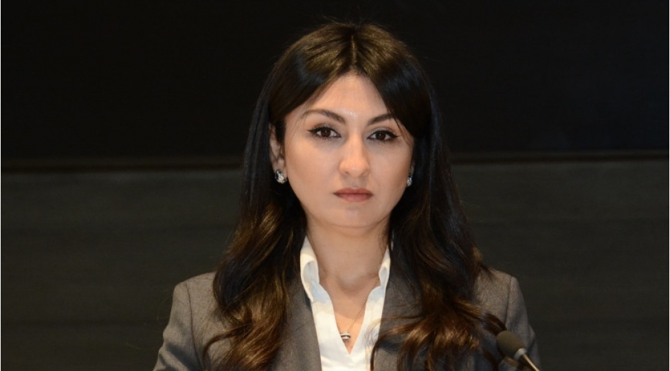 qanunvericilikde-strateji-investisiyalarin-desteklenmesi-mexanizmleri-tekmilleshdirilib-samire-musayeva