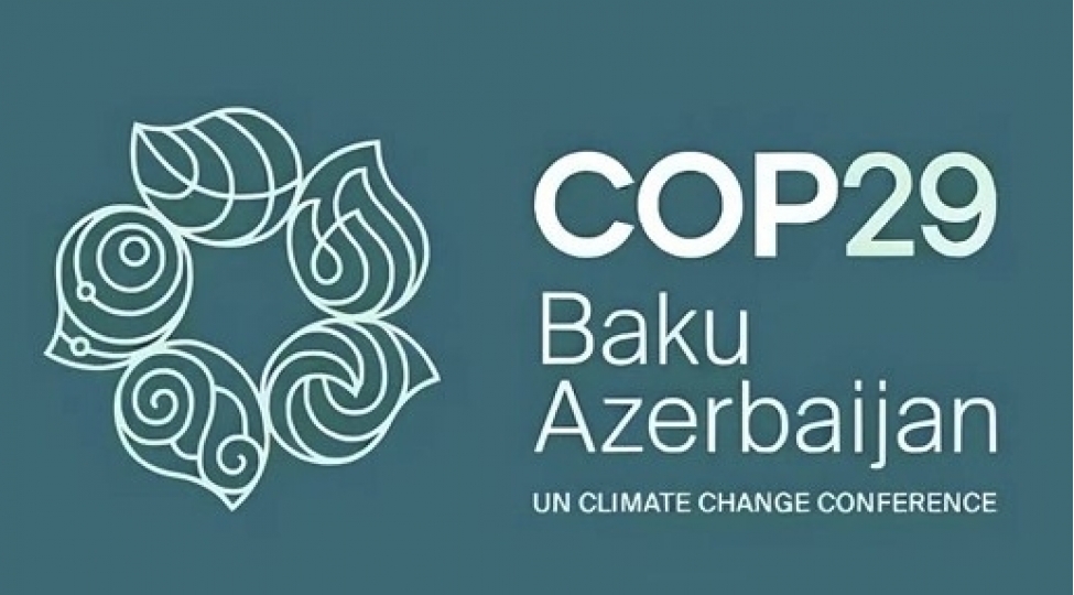 cop29-konulluleri-xezer-denizinin-lenkeran-sahilinde-temizlik-aksiyasinda-ishtirak-edibler