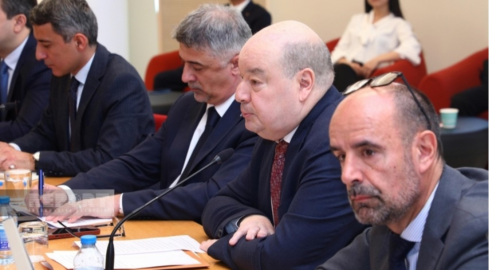 mishel-petersman-iqlim-maliyyesi-cop29-un-esas-movzusu-olacaq