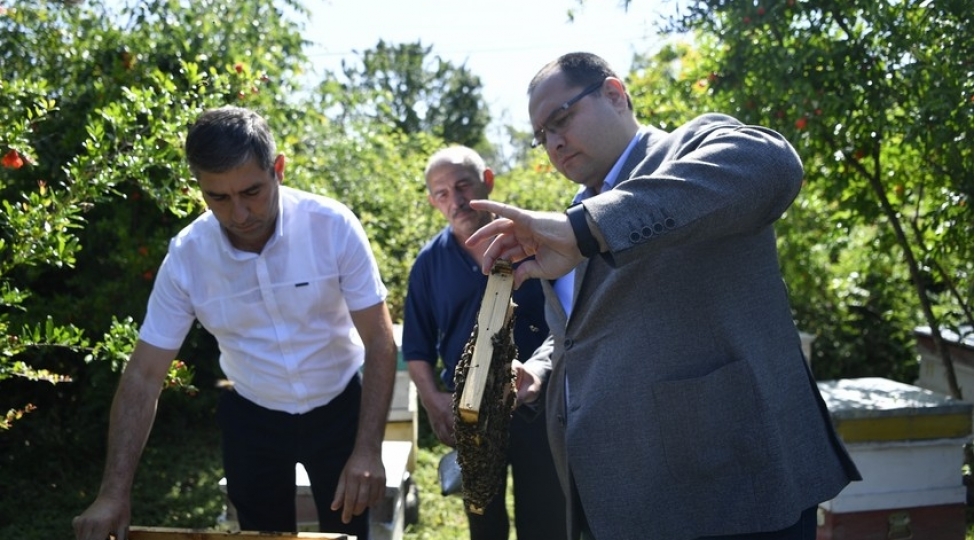 nazir-kurdemirde-teserrufatlara-bash-chekib-fermerlerle-gorushub