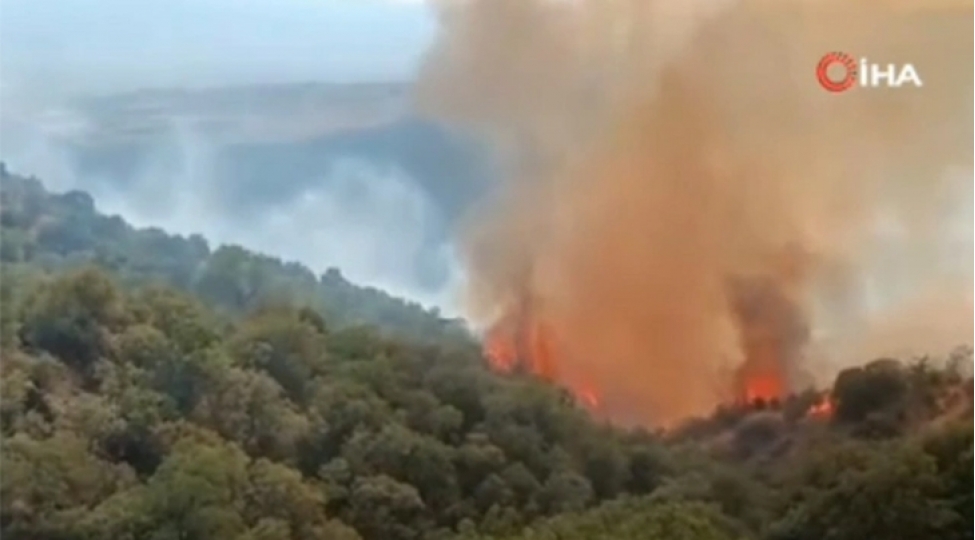 turkiyede-ekin-sahesinde-bashlayan-guclu-yangin-meshelik-eraziye-kechib