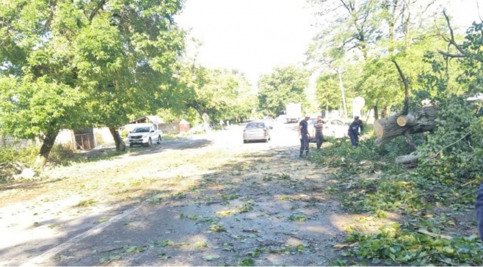 qebelede-kuleyin-ashirdigi-irigovdeli-agac-magistiral-yolu-baglayib-video